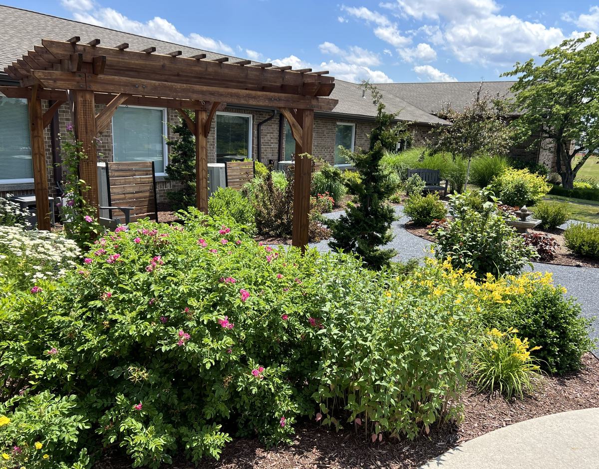 The garden from the red door
