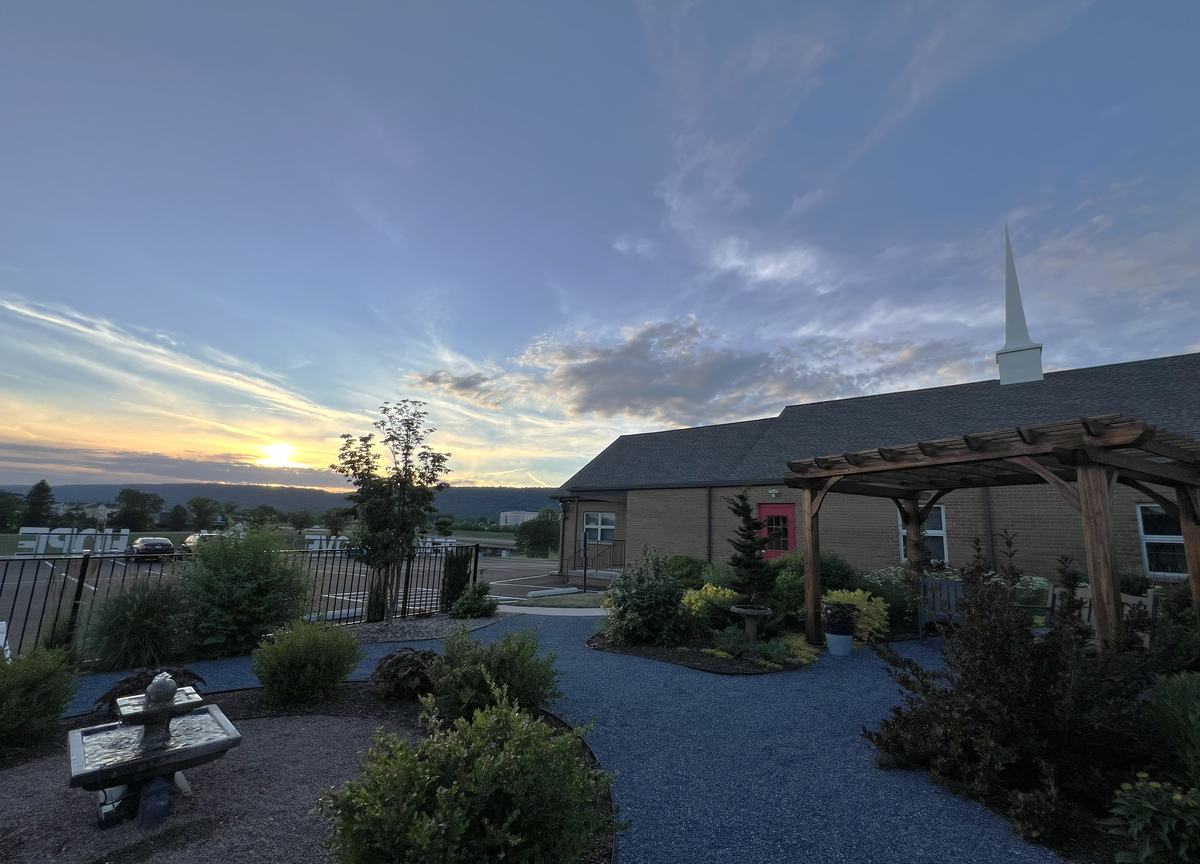 Sunset over the garden